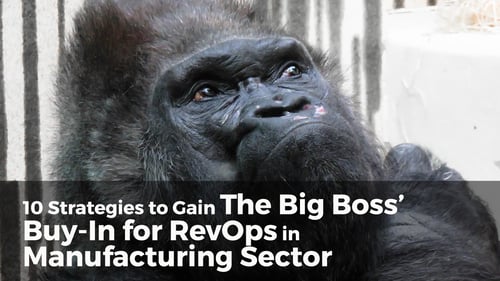 10 Strategies to Gain Big Boss’s Buy-In for RevOps in Manufacturing Sector